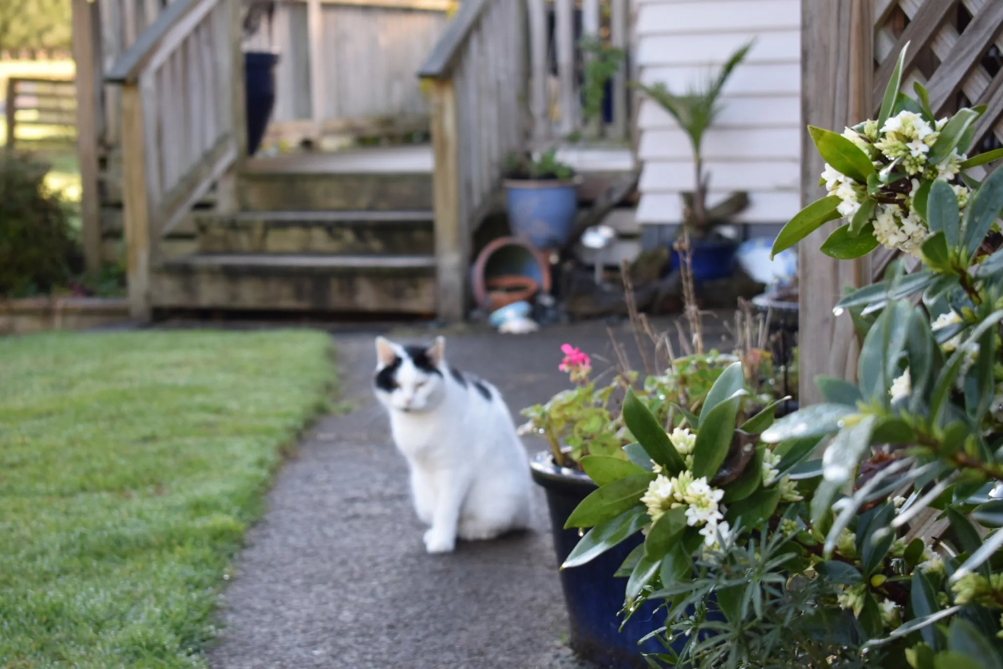 G28 goodbye dear marshall we love you 28 jul 2018 (6)